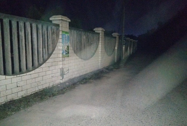 除草刷墻灑汗水，苗圃外貌換新顏