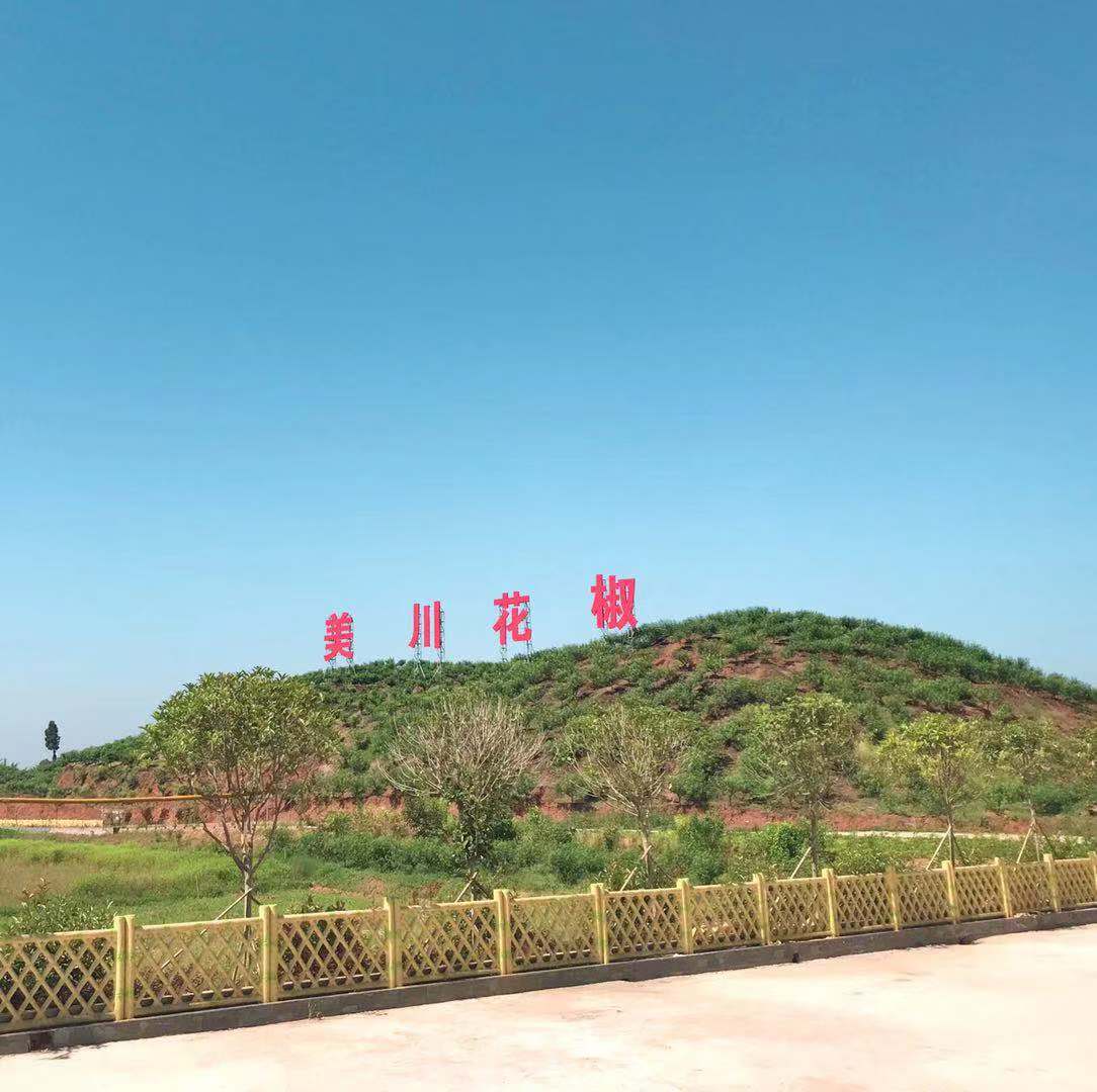 村企共創(chuàng),建美麗宜居鄉(xiāng)村
