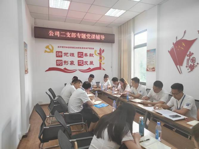 公司二支部開展“齊力共進(jìn)、強(qiáng)企有我” 主題黨日活動(dòng)