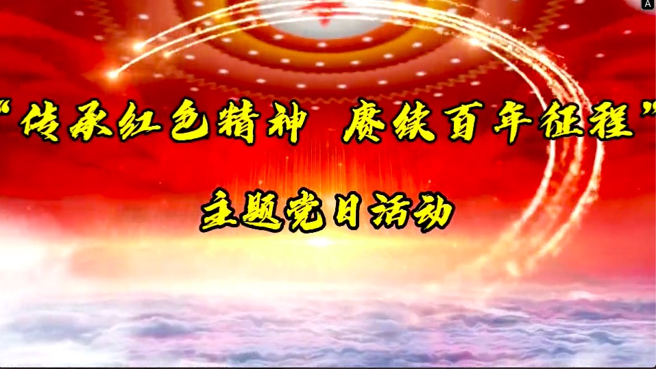 傳承紅色精神，賡續(xù)百年征程-共產(chǎn)黨員服務(wù)大隊(duì)主題黨日活動(dòng)