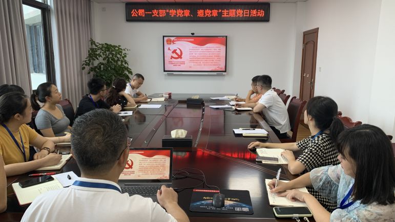 清源水務(wù)公司黨委組織開展“學(xué)黨章、遵黨章”系列主題黨日活動