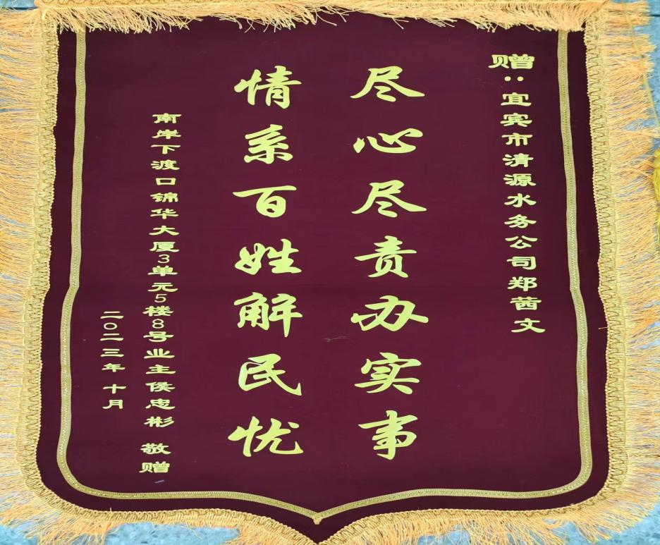 盡心盡責(zé)辦實(shí)事，為民解憂獲贊揚(yáng)